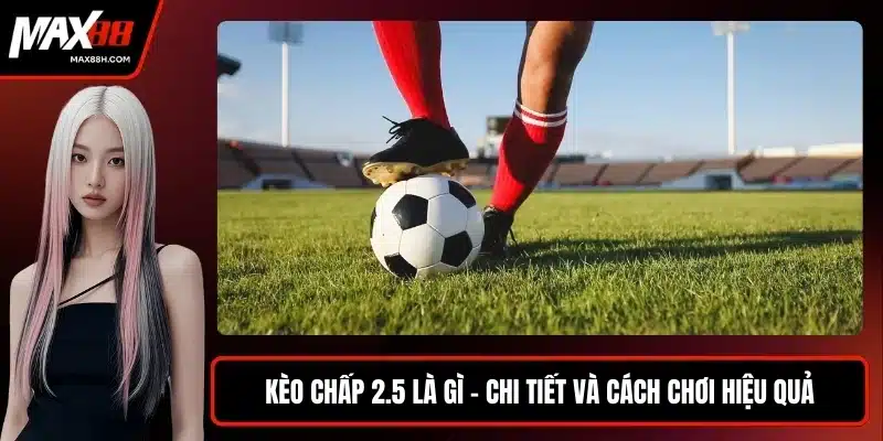 Kèo chấp 2.5 là gì