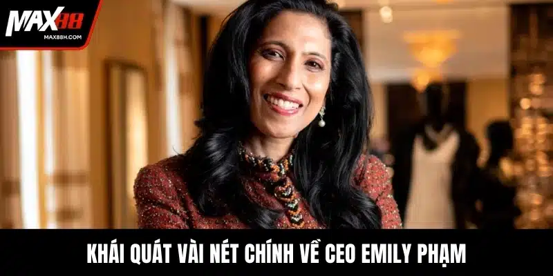 Khái quát vài nét chính về CEO Emily Phạm