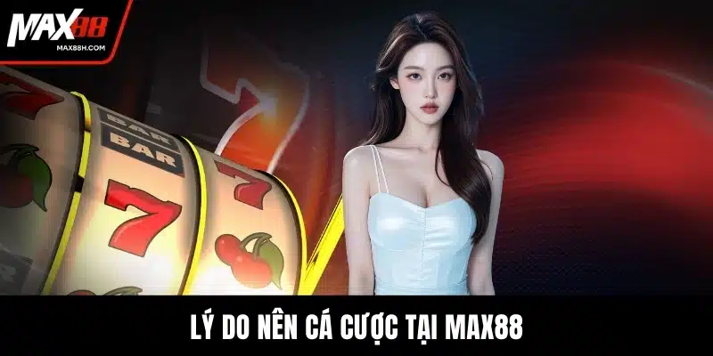 Lý do nên cá cược tại MAX88