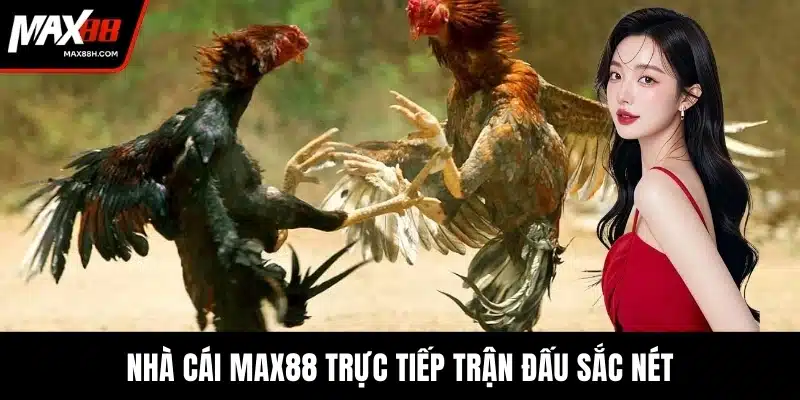 Nhà cái MAX88 trực tiếp trận đấu sắc nét