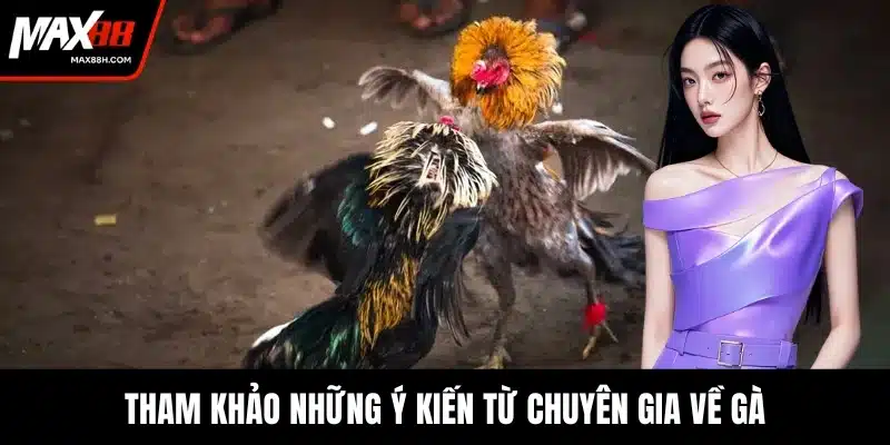 Tham khảo những ý kiến từ chuyên gia về gà